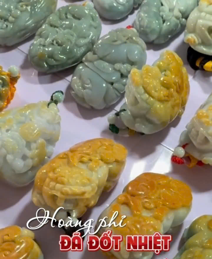 Hoàng phỉ đốt nhiệt